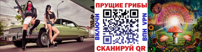 как найти закладки  Курганинск  Галлюциногенные грибы мицелий 