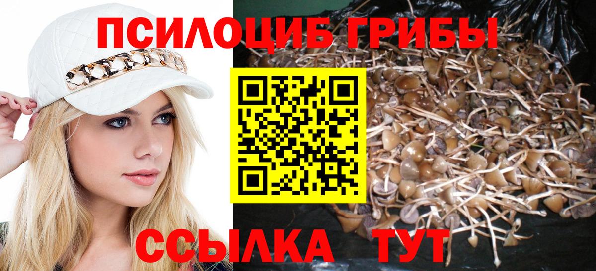 Галлюциногенные грибы MAGIC MUSHROOMS Курганинск