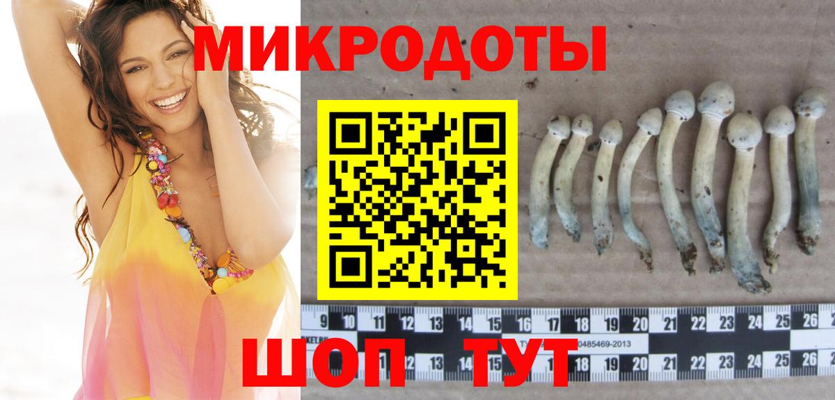 Псилоцибиновые грибы прущие грибы  цены   Курганинск  Вход с VPN 