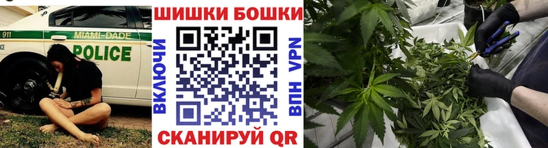 Бошки марихуана конопля  купить закладку  Курганинск 